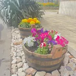 Hotel Family Morska Zvezda