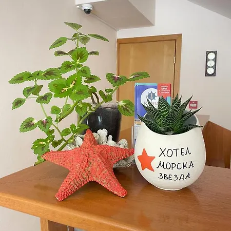 Family Morska Zvezda Szálloda Balcsik