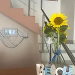 Family Morska Zvezda 2*