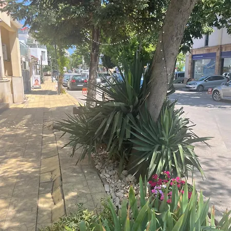 Family Morska Zvezda Balchik