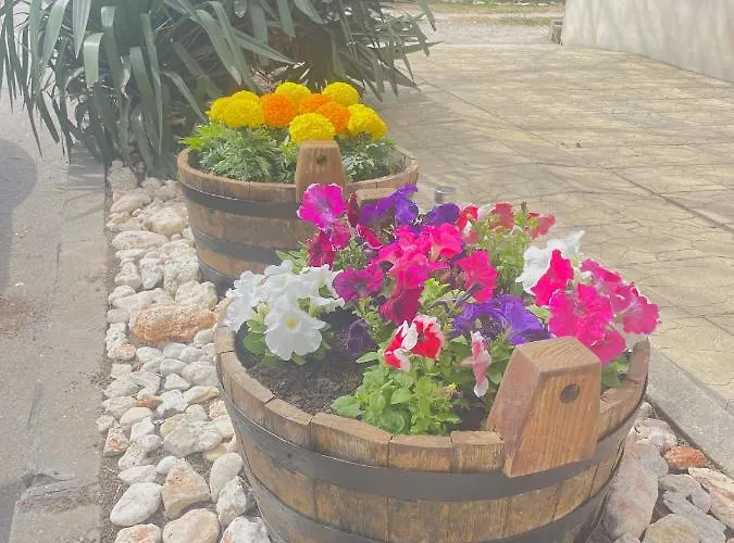 Hotel Family Morska Zvezda