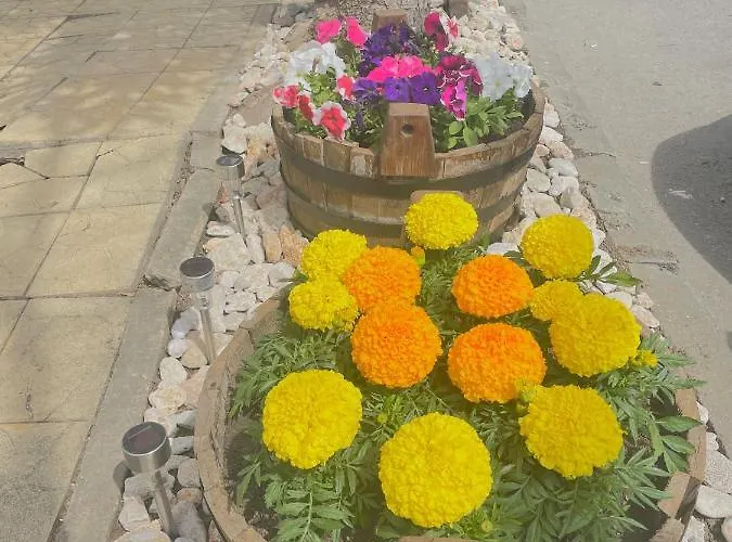 Family Morska Zvezda Hotel 2*