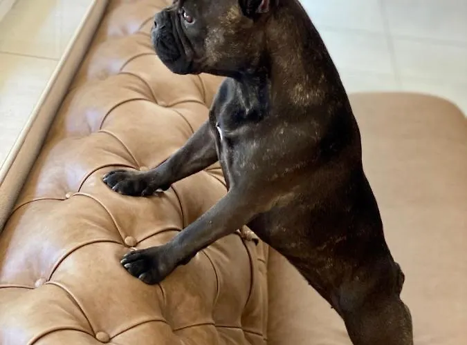 Family Morska Zvezda Hotel