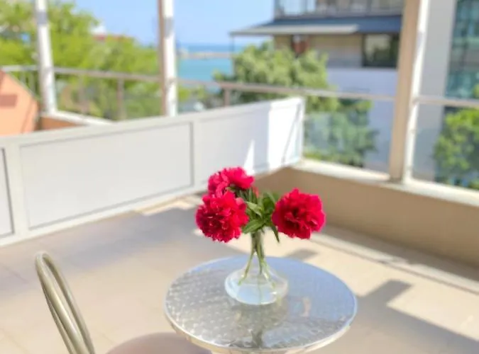 Family Morska Zvezda Hotel