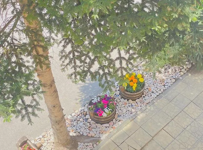 Family Morska Zvezda Hotel 2*