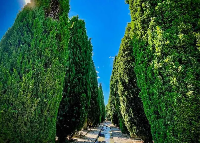 Hotel Family Morska Zvezda