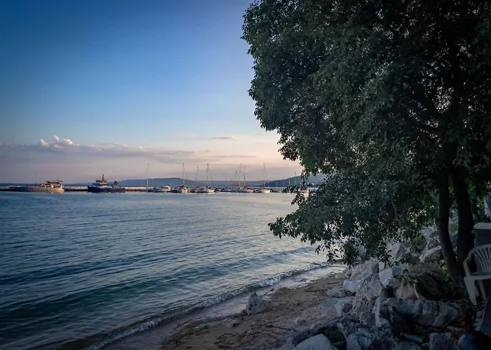 Family Morska Zvezda Balchik